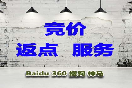 SEM广告投放案例：打造品牌影响力